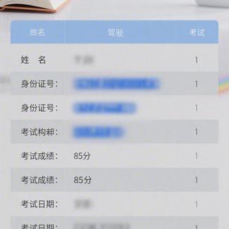 哪些交通标线不能压？详解禁止跨越的道路标线类型